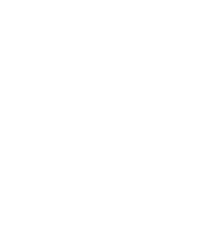 Seashell Boat Rentals logo